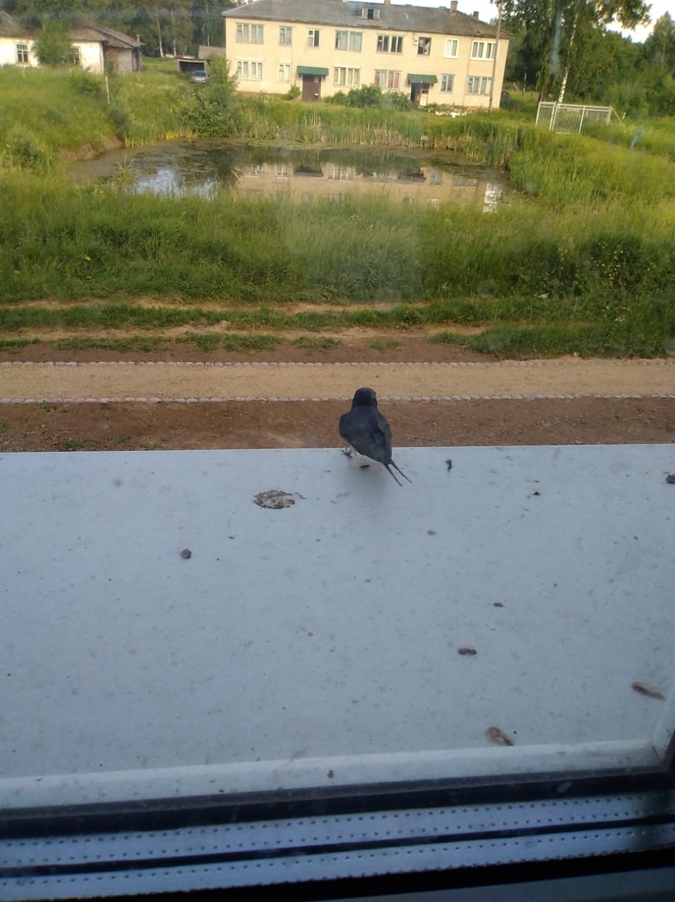 вечер 11 июля 2022