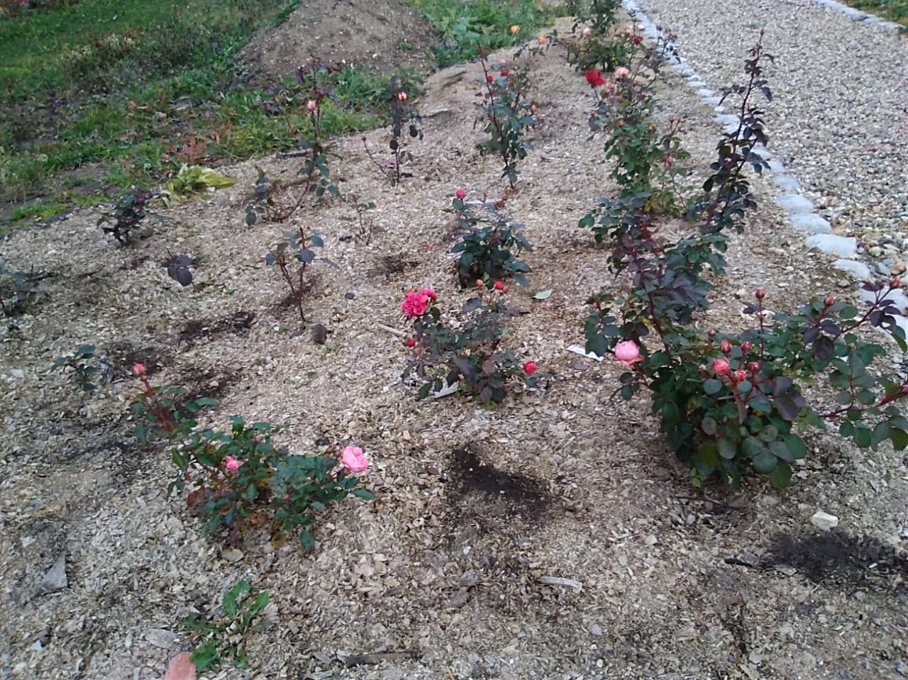 Мологский Покровский Женский Монастырь