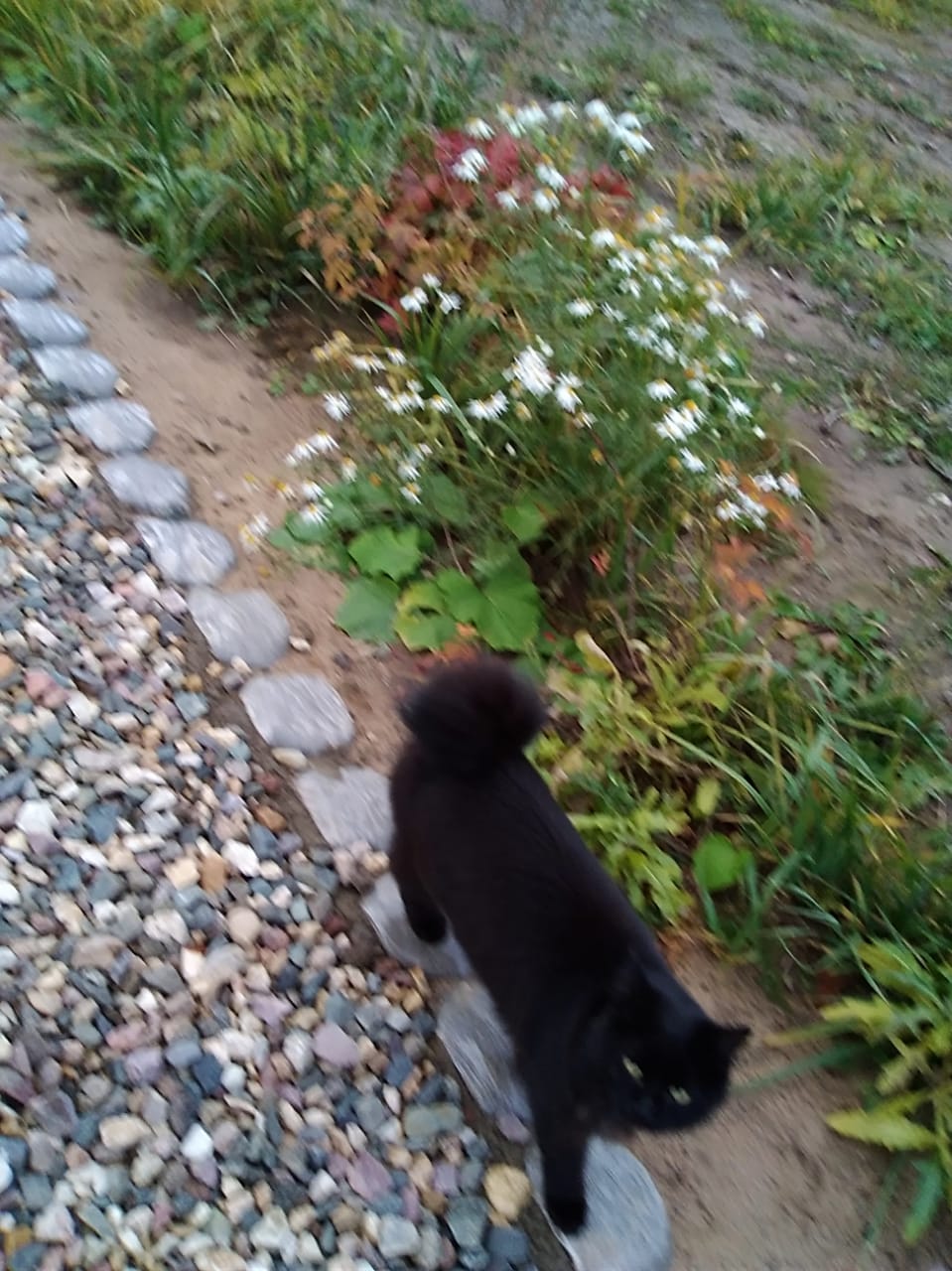 Мологский Покровский Женский Монастырь