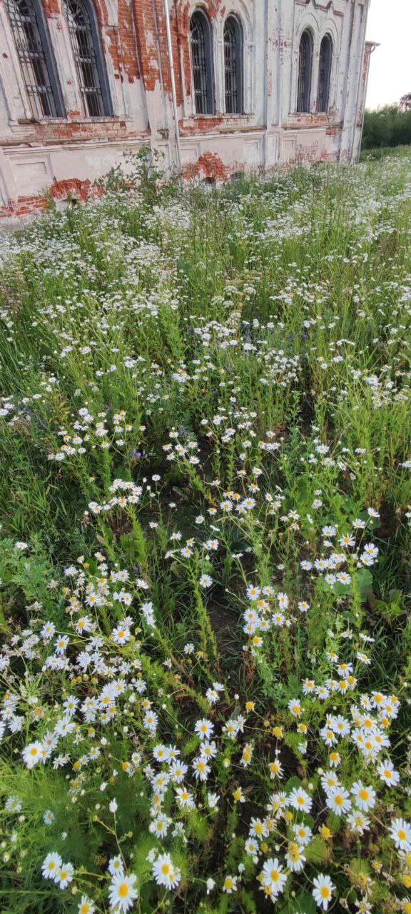 Церковь Покрова Пресвятой Богородицы