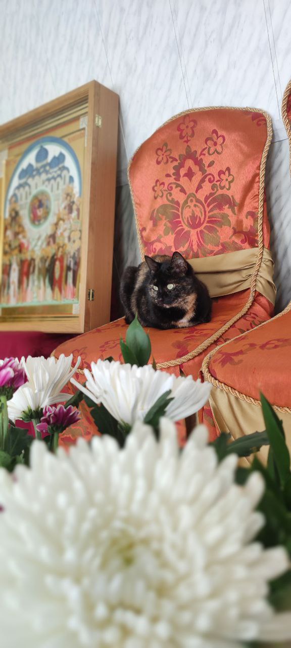 Мологский Покровский Женский Монастырь