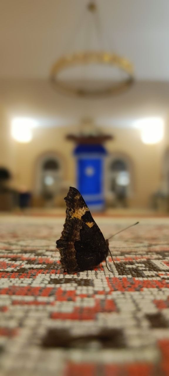 Всенощное бдение 13 октября 2023